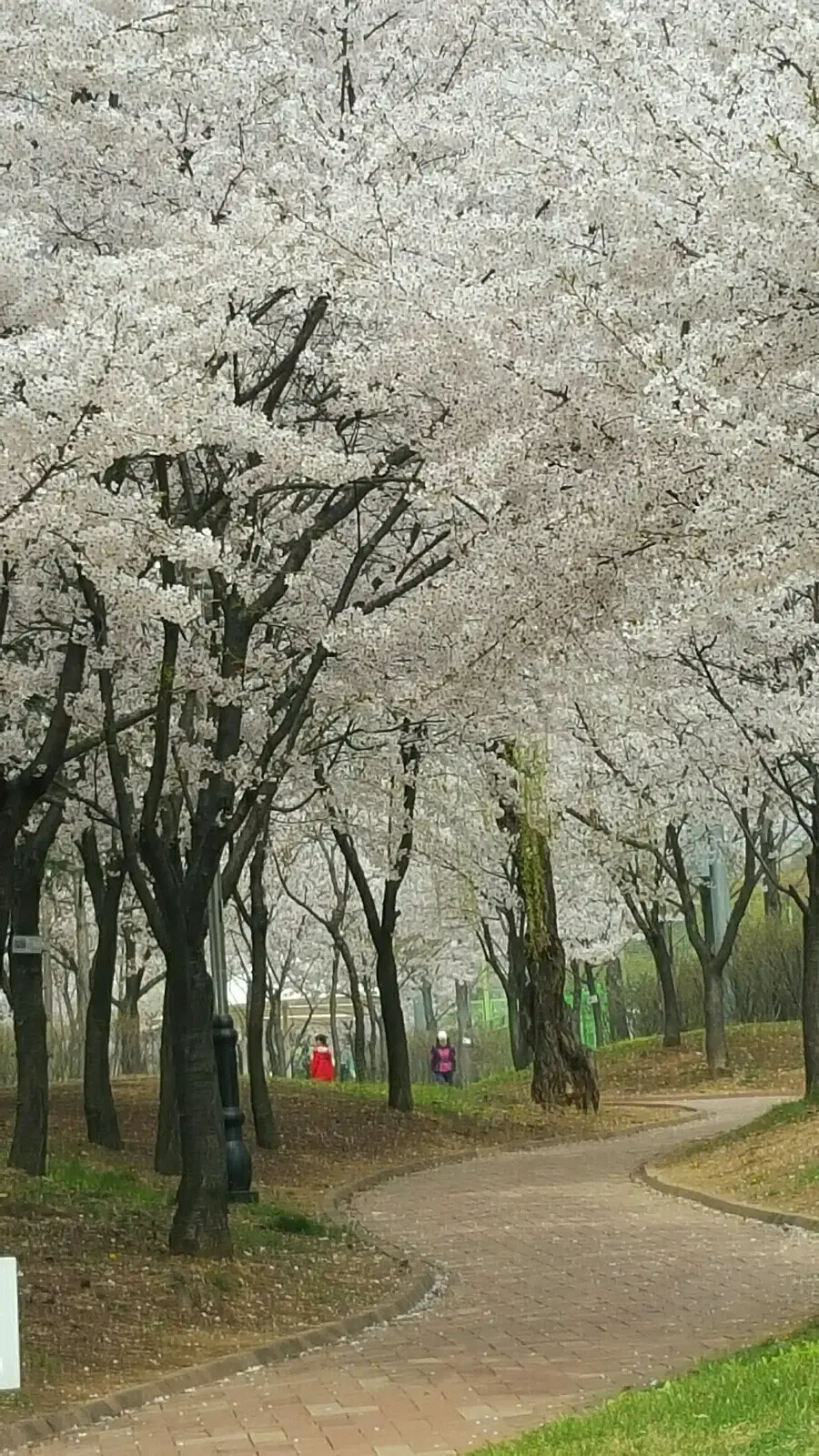 제  상점에  있는  물건 교화요